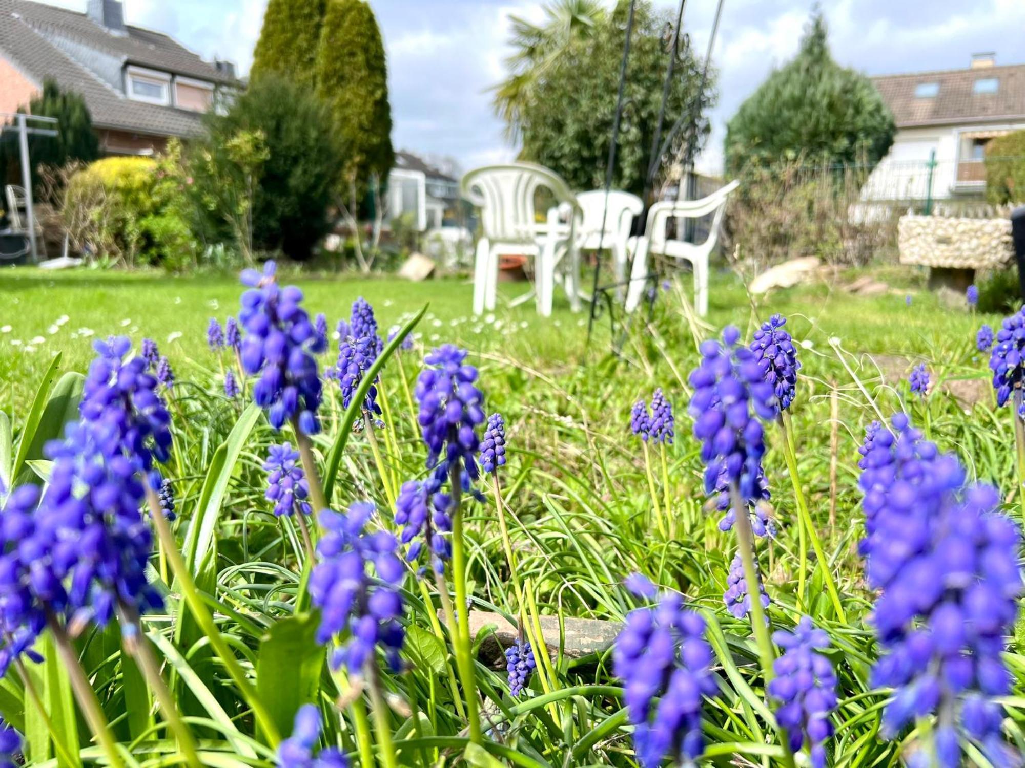 Comfy Apartment Mit Garten In Koeln ภายนอก รูปภาพ